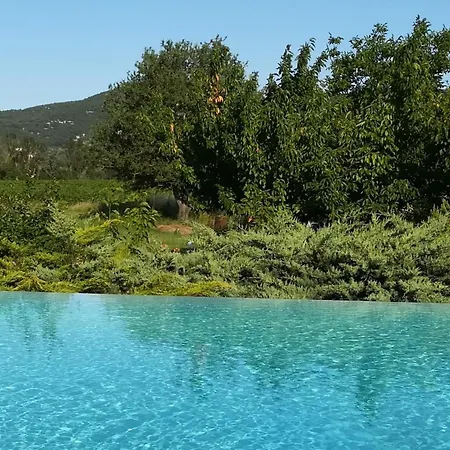 Au Beau Lieu Bed & Breakfast Beaulieu (Isere)